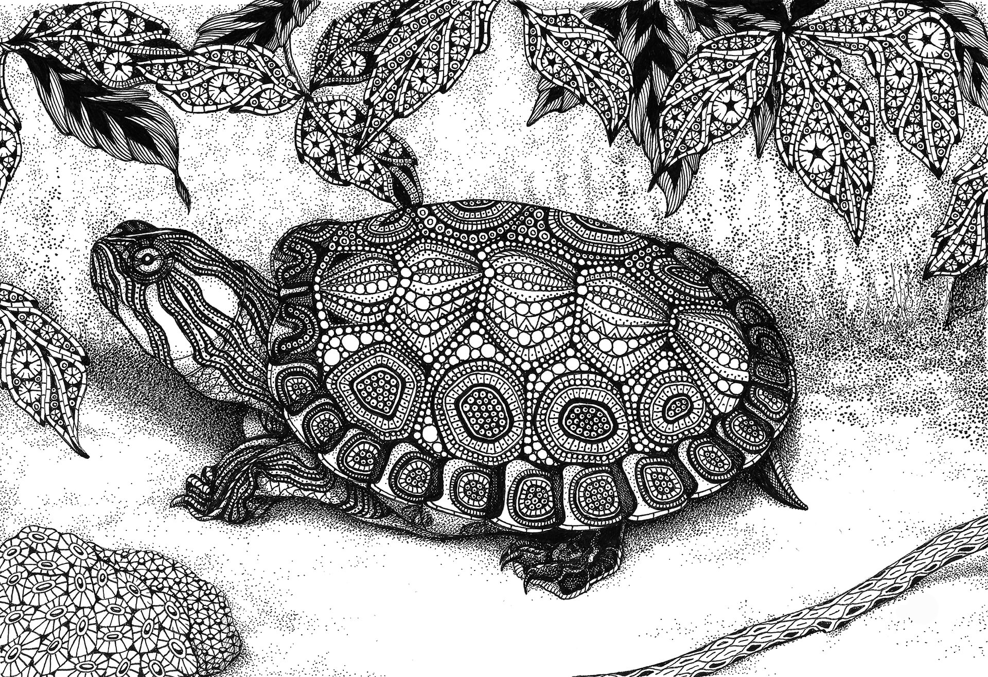 MELANGE "Seriously Fun Art" by Kristin Moger: Wood Turtle, zentagle, hand-drawn, drawing