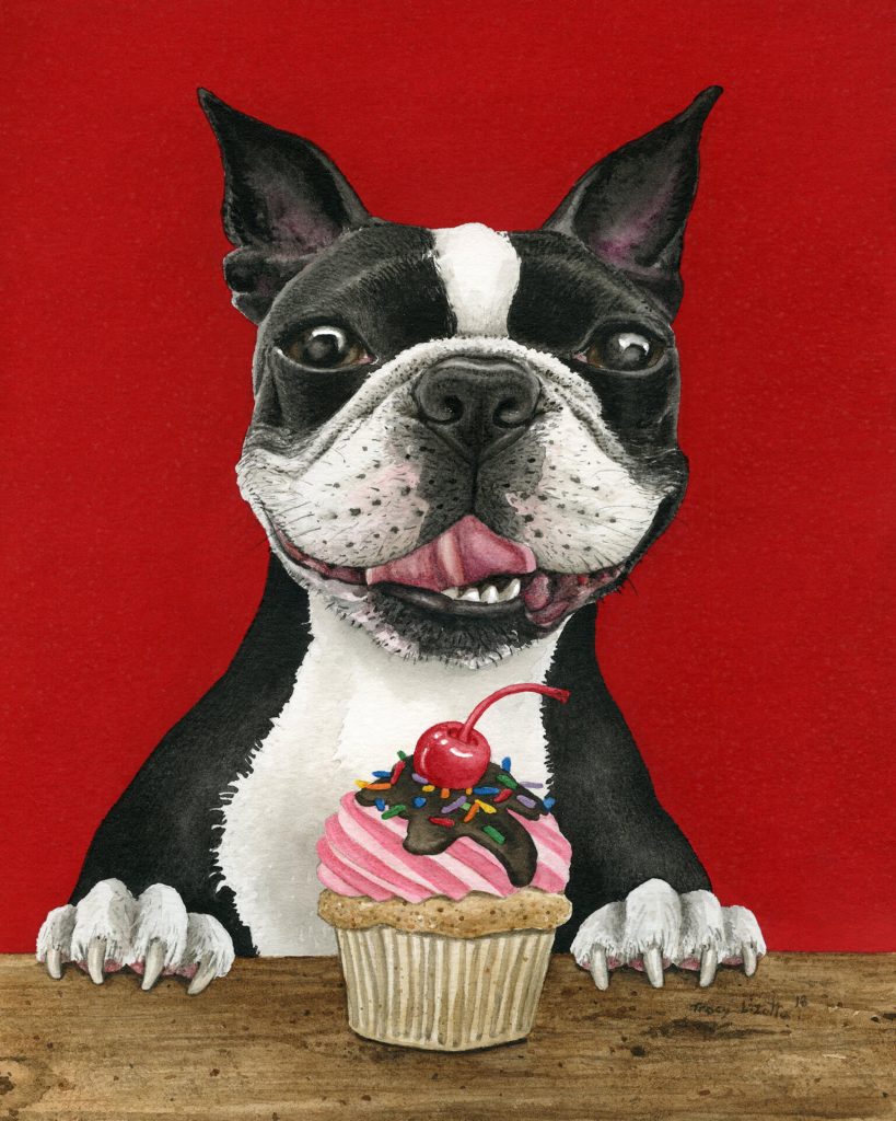 Tracy Lizotte Studios, boston terrier, watercolor, fine art, handmade, tracy lizotte